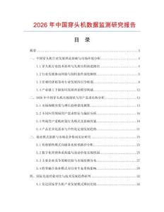 2026年中國(guó)穿頭機(jī)數(shù)據(jù)監(jiān)測(cè)研究報(bào)告