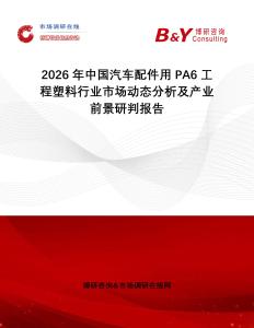 2026年中國汽車配件用PA6工程塑料行業(yè)市場動態(tài)分析及產(chǎn)業(yè)前景研判報(bào)告