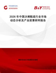2026年中國沙灘鞋底行業(yè)市場動(dòng)態(tài)分析及產(chǎn)業(yè)前景研判報(bào)告