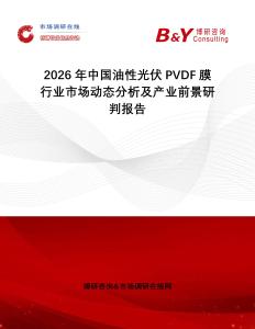 2026年中國油性光伏PVDF膜行業(yè)市場(chǎng)動(dòng)態(tài)分析及產(chǎn)業(yè)前景研判報(bào)告