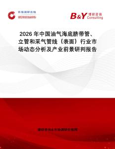 2026年中國油氣海底臍帶管、立管和采氣管線（表面）行業(yè)市場動態(tài)分析及產(chǎn)業(yè)前景研判報告