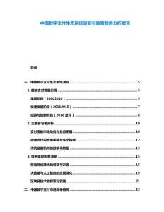 中國(guó)數(shù)字支付生態(tài)系統(tǒng)演變與監(jiān)管趨勢(shì)分析報(bào)告