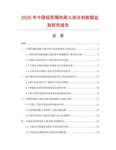 2025年中國輕質隔熱耐火澆注料數據監測研究報告