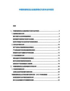 中國鐵路物流企業(yè)融資模式與資本運作報告