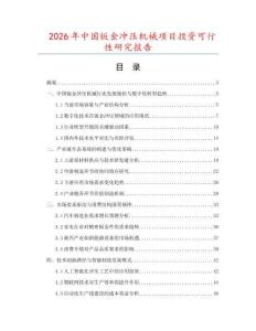 2026年中國鈑金沖壓機(jī)械項目投資可行性研究報告