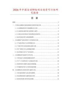 2026年中國(guó)自動(dòng)鉚槍項(xiàng)目投資可行性研究報(bào)告
