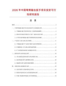 2026年中國彎柄敲擊扳手項目投資可行性研究報告