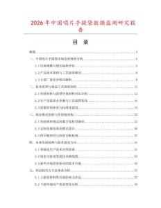 2026年中国唱片手提袋数据监测研究报告