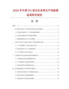 2025年中國PU濕法合成革生產線數據監測研究報告