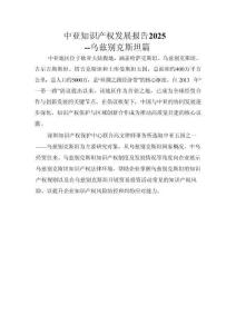 中亞知識產權發展報告 2025 -烏茲別克斯坦篇 -深圳市知識產權局