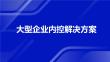 （112页PPT）企业数字化转型大型企业内控解决方案