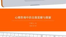 心理咨询中的自我觉察与探索