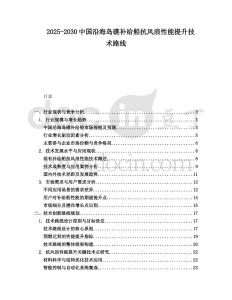 2025-2030中國沿海島礁補給船抗風浪性能提升技術路線