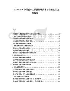 2025-2030中國醫(yī)療大數據脫敏技術與合規(guī)使用邊界報告