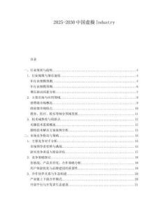 2025-2030中國虛擬Industry