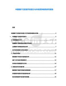 中國(guó)鋰礦石資源開發(fā)潛力與市場(chǎng)競(jìng)爭(zhēng)格局研究報(bào)告