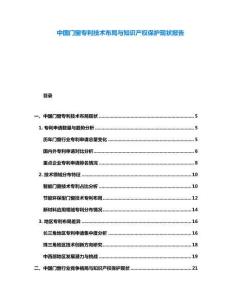 中國門窗專利技術(shù)布局與知識(shí)產(chǎn)權(quán)保護(hù)現(xiàn)狀報(bào)告