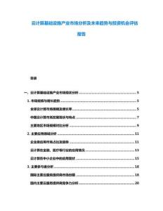 云計(jì)算基礎(chǔ)設(shè)施產(chǎn)業(yè)市場分析及未來趨勢與投資機(jī)會(huì)評估報(bào)告