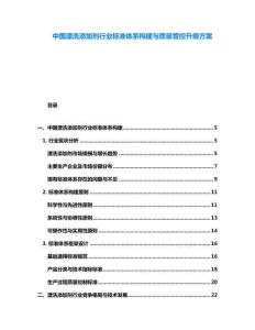 中國漂洗添加劑行業(yè)標(biāo)準(zhǔn)體系構(gòu)建與質(zhì)量管控升級方案