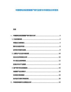 中國鋰電池鋁塑膜國產替代進度與市場壁壘分析報告