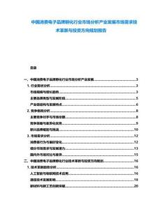 中國消費(fèi)電子品牌孵化行業(yè)市場(chǎng)分析產(chǎn)業(yè)發(fā)展市場(chǎng)需求技術(shù)革新與投資方向規(guī)劃報(bào)告