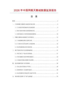 2026年中国网眼天鹅绒数据监测报告