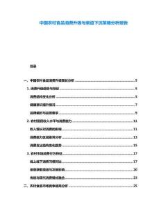 中國農(nóng)村食品消費(fèi)升級與渠道下沉策略分析報(bào)告