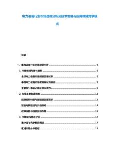 電力設(shè)備行業(yè)市場(chǎng)透徹分析及技術(shù)發(fā)展與應(yīng)用領(lǐng)域競(jìng)爭(zhēng)模式