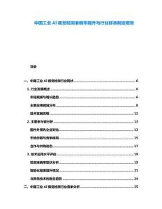 中國(guó)工業(yè)AI視覺檢測(cè)準(zhǔn)確率提升與行業(yè)標(biāo)準(zhǔn)制定報(bào)告