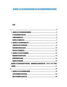 能源電力行業風險投資發展分析及投資融資策略研究報告