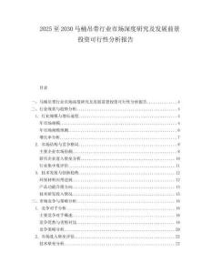 2025至2030馬桶吊帶行業(yè)市場深度研究及發(fā)展前景投資可行性分析報(bào)告