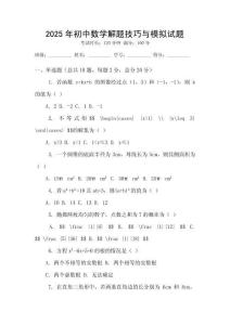 2025年初中數學解題技巧與模擬試題