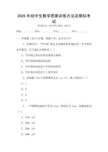 2025年初中生數學思維訓練方法及模擬考試