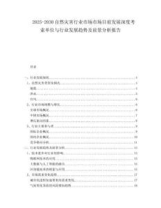 2025-2030自然災(zāi)害行業(yè)市場(chǎng)市場(chǎng)目前發(fā)展深度考索單位與行業(yè)發(fā)展趨勢(shì)及前景分析報(bào)告