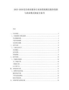 2025-2030綜合商業(yè)服務(wù)行業(yè)深度檢測及服務(wù)創(chuàng)新與商業(yè)模式探索方案書