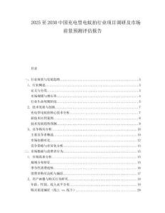 2025至2030中國充電型電蚊拍行業項目調研及市場前景預測評估報告