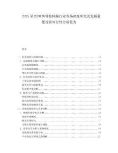 2025至2030綁帶拉伸膜行業市場深度研究及發展前景投資可行性分析報告