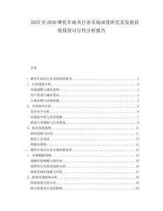 2025至2030摩托車雨具行業市場深度研究及發展前景投資可行性分析報告