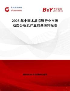 2026年中國(guó)水晶涼鞋行業(yè)市場(chǎng)動(dòng)態(tài)分析及產(chǎn)業(yè)前景研判報(bào)告