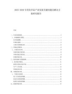2025-2030專用化學(xué)品產(chǎn)業(yè)發(fā)展關(guān)鍵問題及解決方案研究報告
