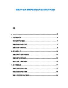 德國汽車后市場維護服務評估與投資風險分析報告