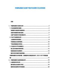 中國電感器行業(yè)客戶需求與消費(fèi)行為分析報告