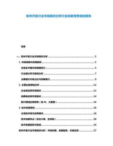軟件開發(fā)行業(yè)市場現狀分析行業(yè)創(chuàng)新競爭規(guī)劃報告