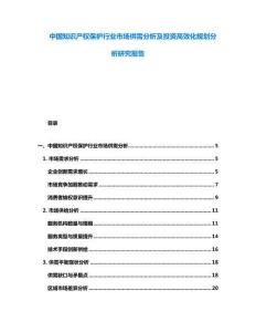 中國(guó)知識(shí)產(chǎn)權(quán)保護(hù)行業(yè)市場(chǎng)供需分析及投資高效化規(guī)劃分析研究報(bào)告