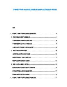 中國(guó)電子商務(wù)平臺(tái)跨境貿(mào)易業(yè)務(wù)拓展與投資規(guī)劃分析報(bào)告