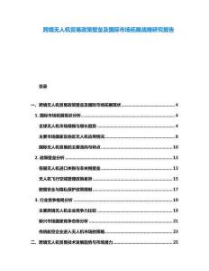 跨境無人機(jī)貿(mào)易政策壁壘及國(guó)際市場(chǎng)拓展戰(zhàn)略研究報(bào)告