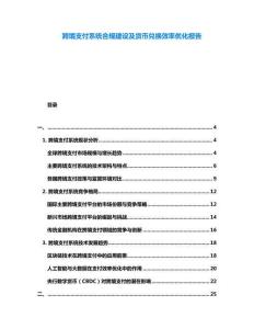 跨境支付系統合規建設及貨幣兌換效率優化報告