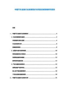 中國汽車金融行業發展現狀與風險控制策略研究報告
