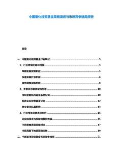 中國量化投資基金策略演進與市場競爭格局報告