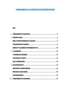 中國電接觸材料行業(yè)政策環(huán)境與競(jìng)爭(zhēng)格局研究報(bào)告